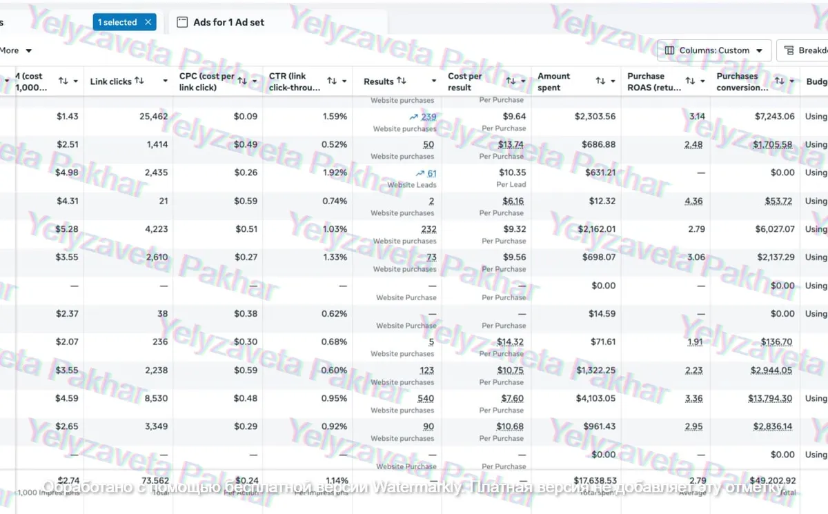 Ad account screenshot: campaign level proof